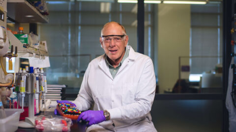 Philip Low works in a laboratory.