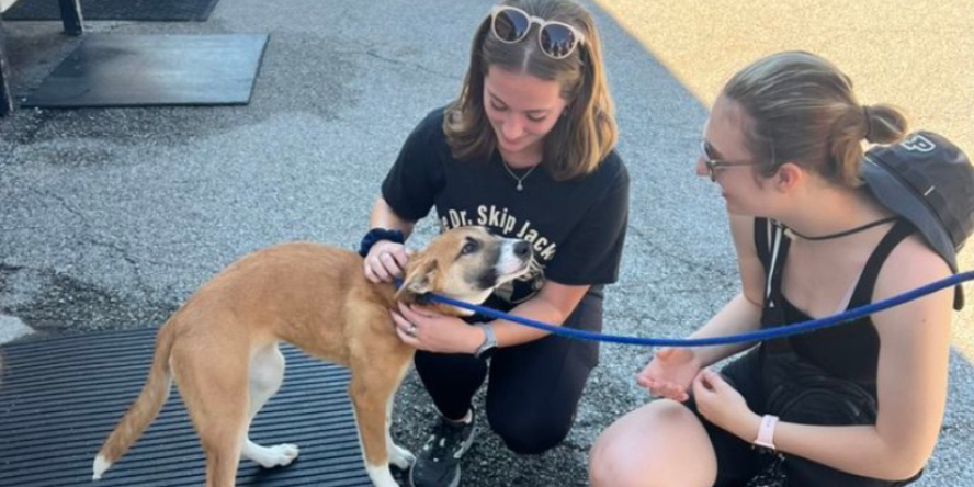 A student crouches down to the level of a small dog and scratches it behind the ears