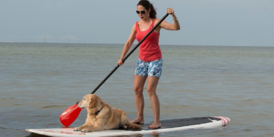 Dr. Michelle Ludwig stands on a paddle board in a large body of water. Her hearing service dog, Marguerite, also sits on the paddleboard.