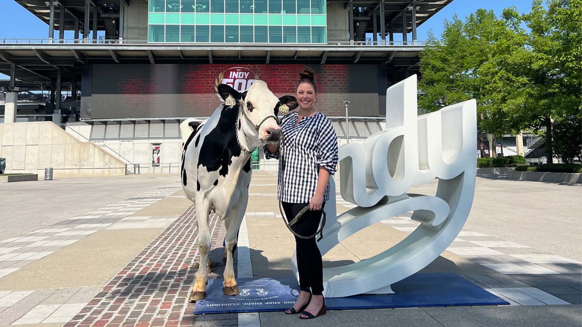 Allie Rieth poses with a dairy cow at Indianapolis Motor Speedway.