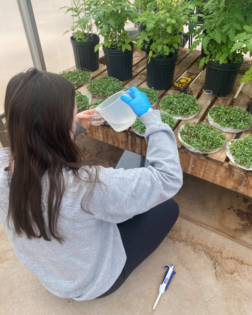 A Purdue student tends to plants in the MDRS greenhouse.