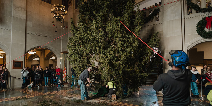 Workers steady the PMU Christmas tree after getting it through the building’s front door