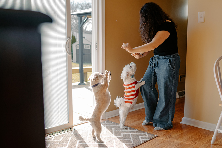 Alejandra Palma plays with her two dogs who have just come inside through an open sliding glass door. They are both standing on their back legs.