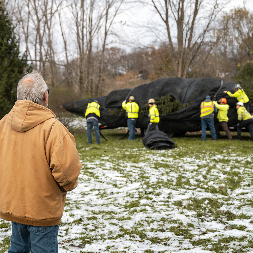 Darrell Smith watches workers wrapping the tree he donated.