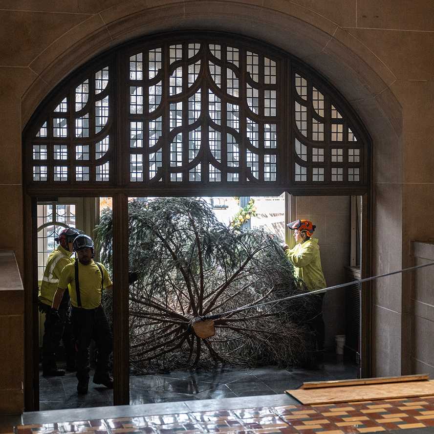 Workers use a winch to pull a tree through the front doors of the Purdue Memorial Union.