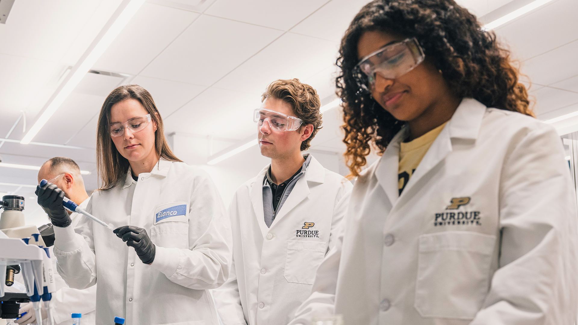 Purdue researchers and Elanco scientists work together in a laboratory, examining samples in the One Health Innovation District.