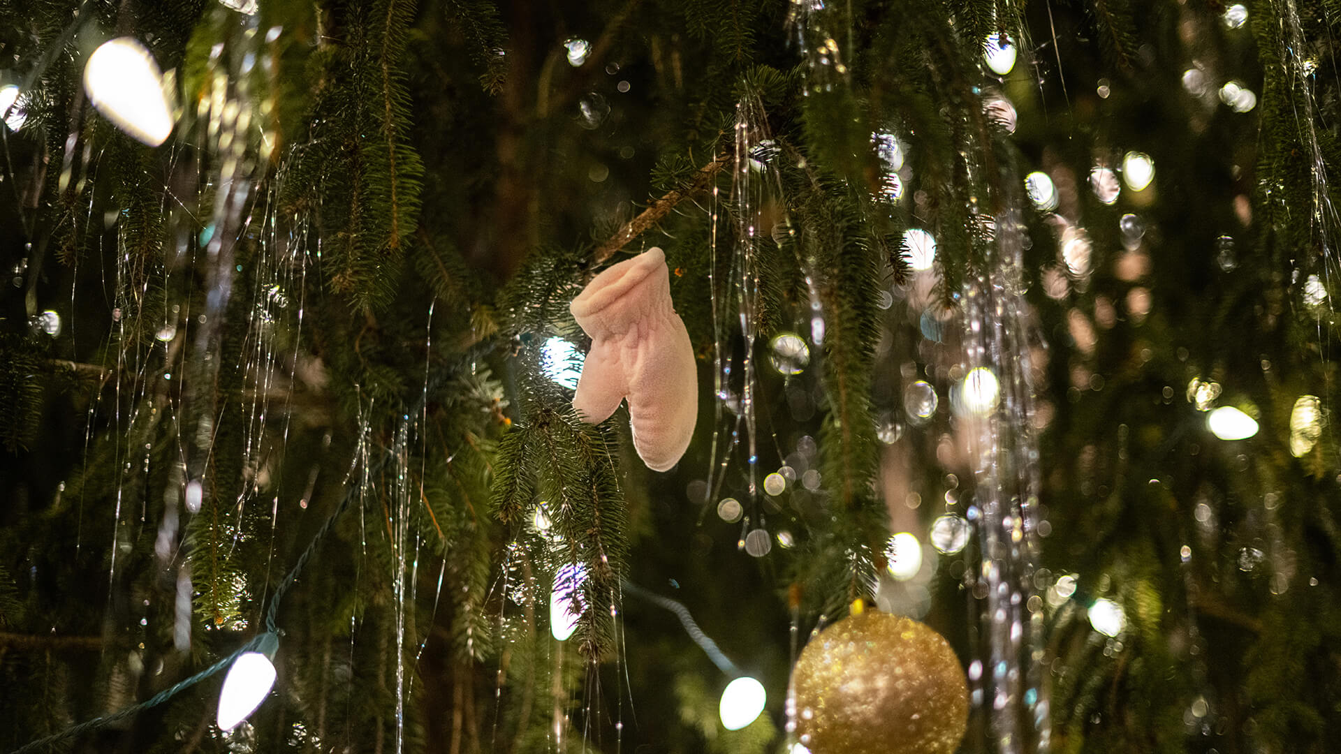 The Purdue Memorial Union’s tiny pink mitten hangs on the PMU Christmas tree
