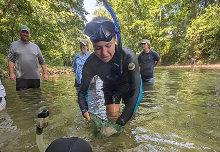 Purdue agriculture researchers release hellbender salamanders into Indiana’s Blue River. 
