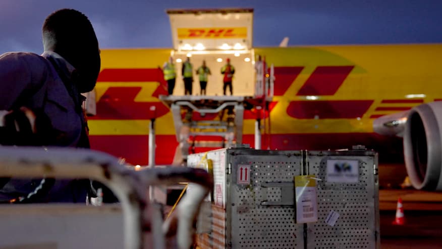Yellow DHL airplane on tarmac being loaded with crates. 
